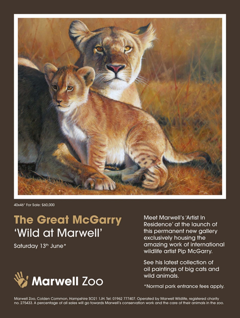 BBC Wildlife Magazine Preview Pages