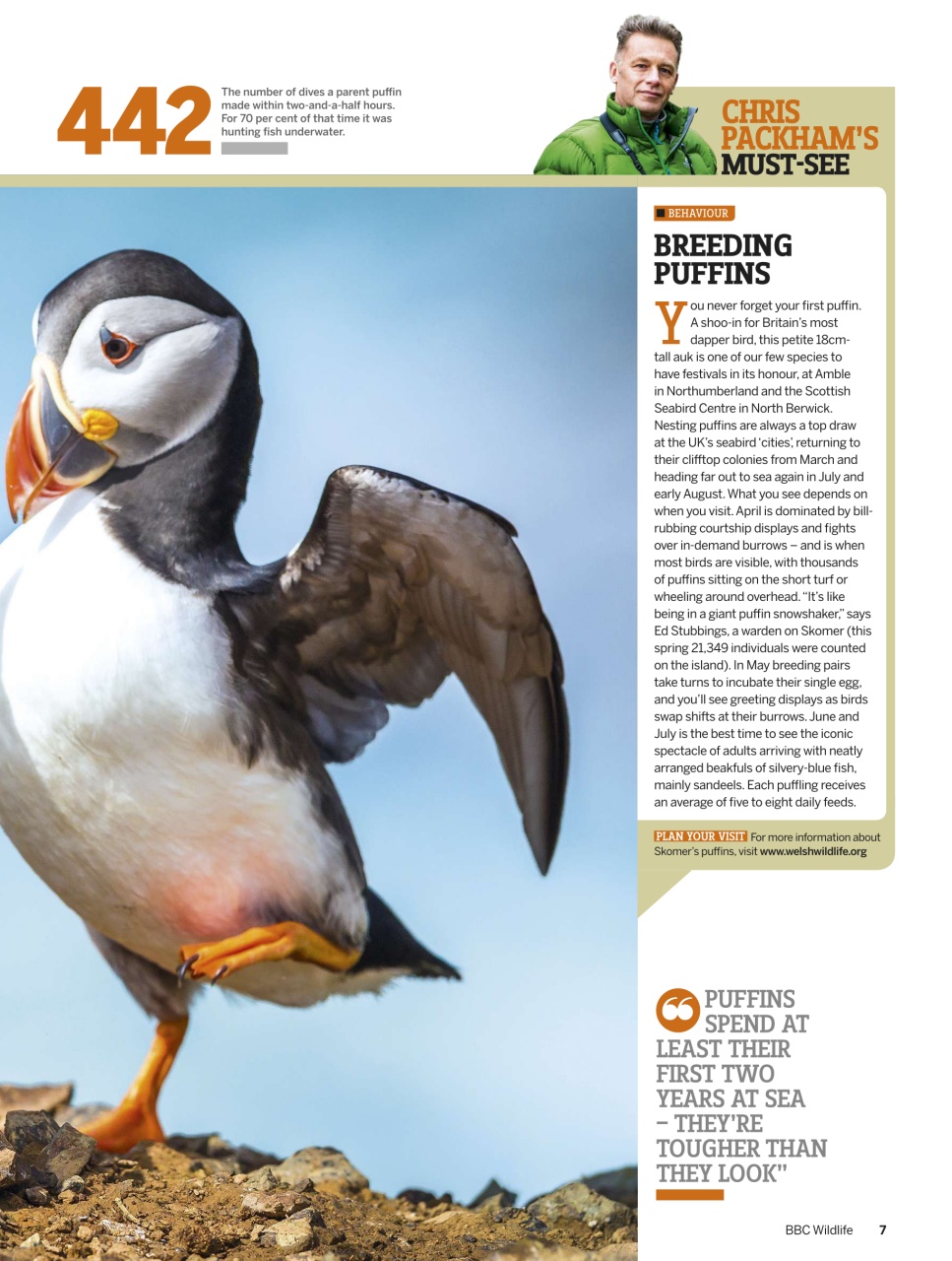 BBC Wildlife Magazine Preview Pages