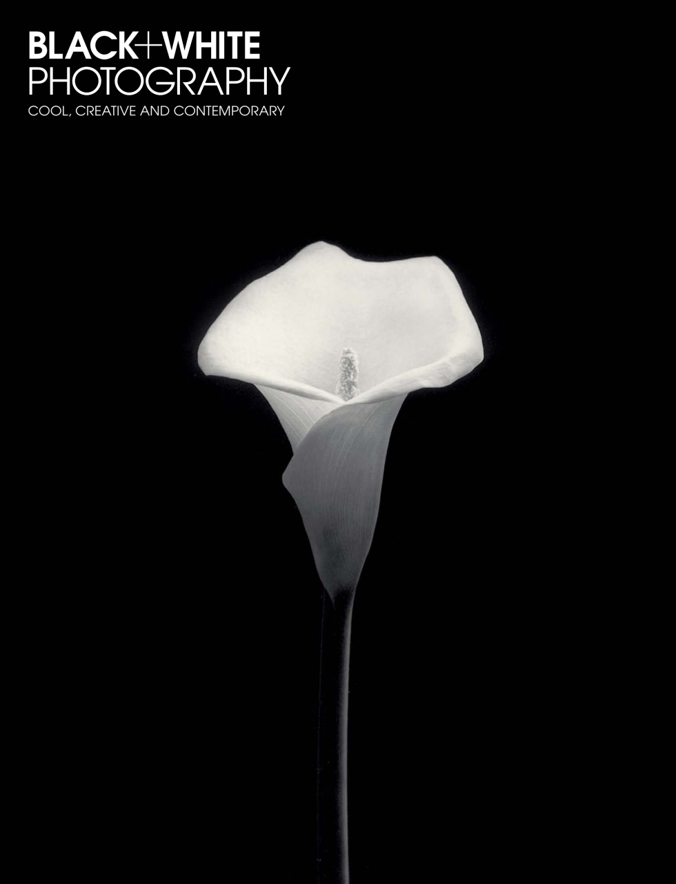 Black+White Photography Preview Pages