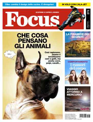273 - Luglio 2015 issue 273 - Luglio 2015
