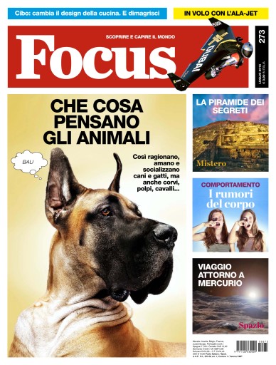 FOCUS issue 