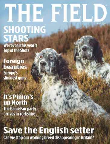 The Field issue July 2015