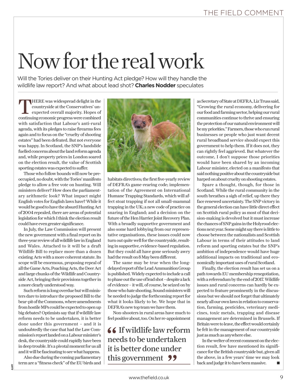 The Field Preview Pages