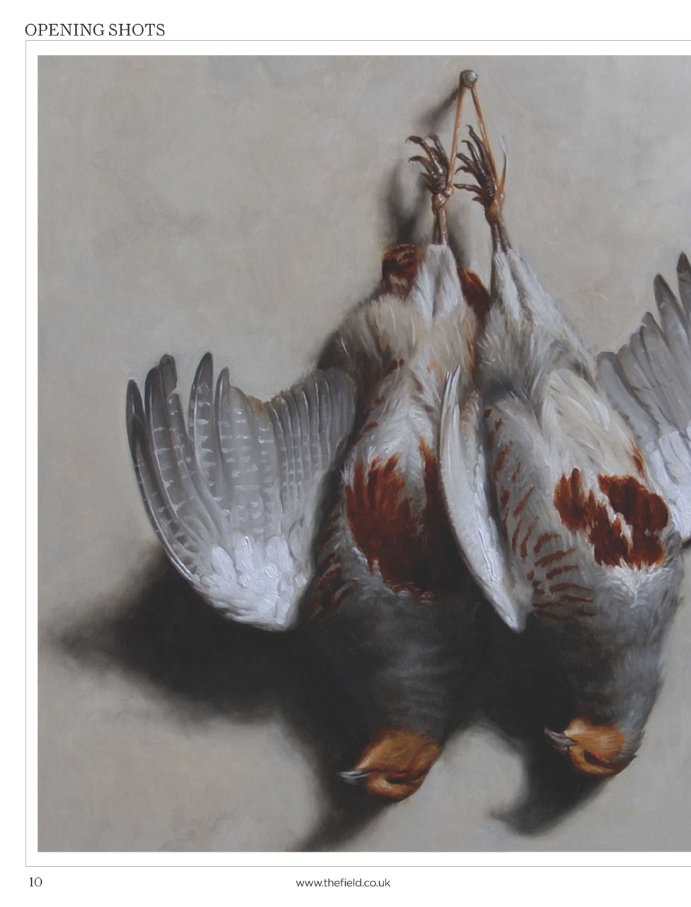 The Field Preview Pages