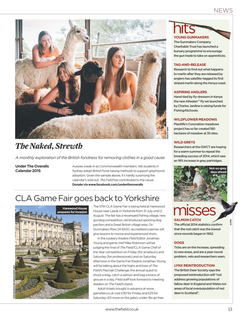 The Field Preview Pages