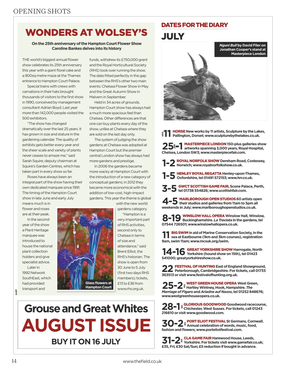 The Field Preview Pages