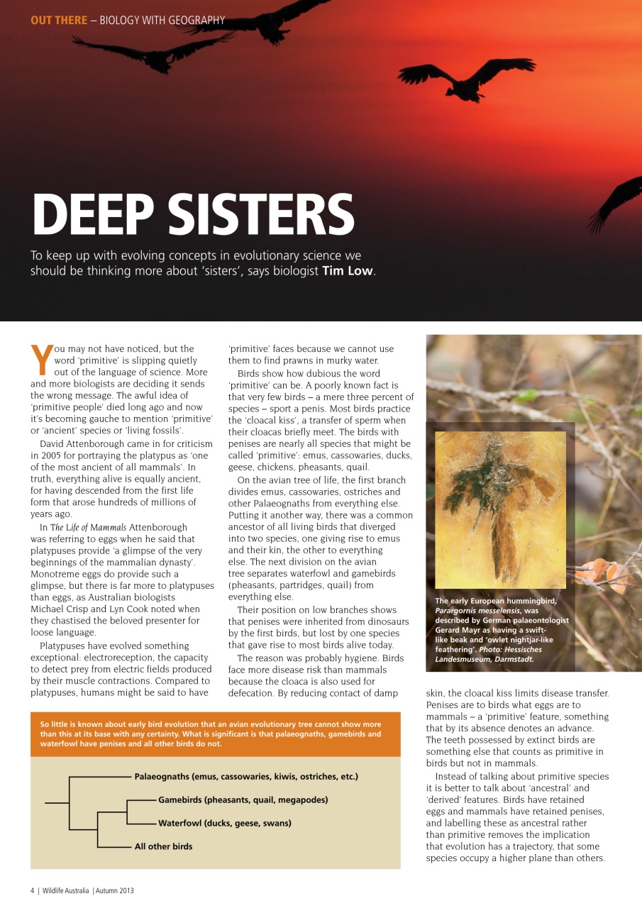 Wildlife Australia Preview Pages