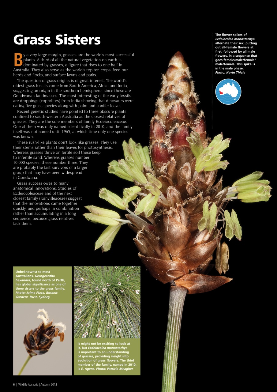 Wildlife Australia Preview Pages