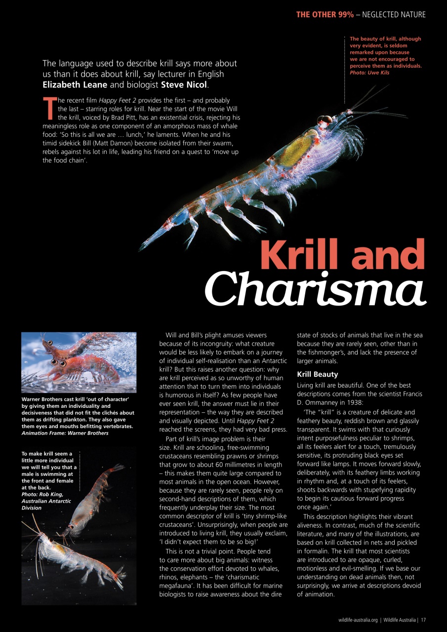 Wildlife Australia Preview Pages