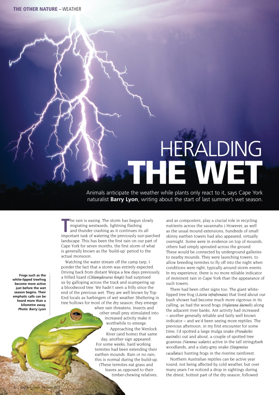 Wildlife Australia Preview Pages