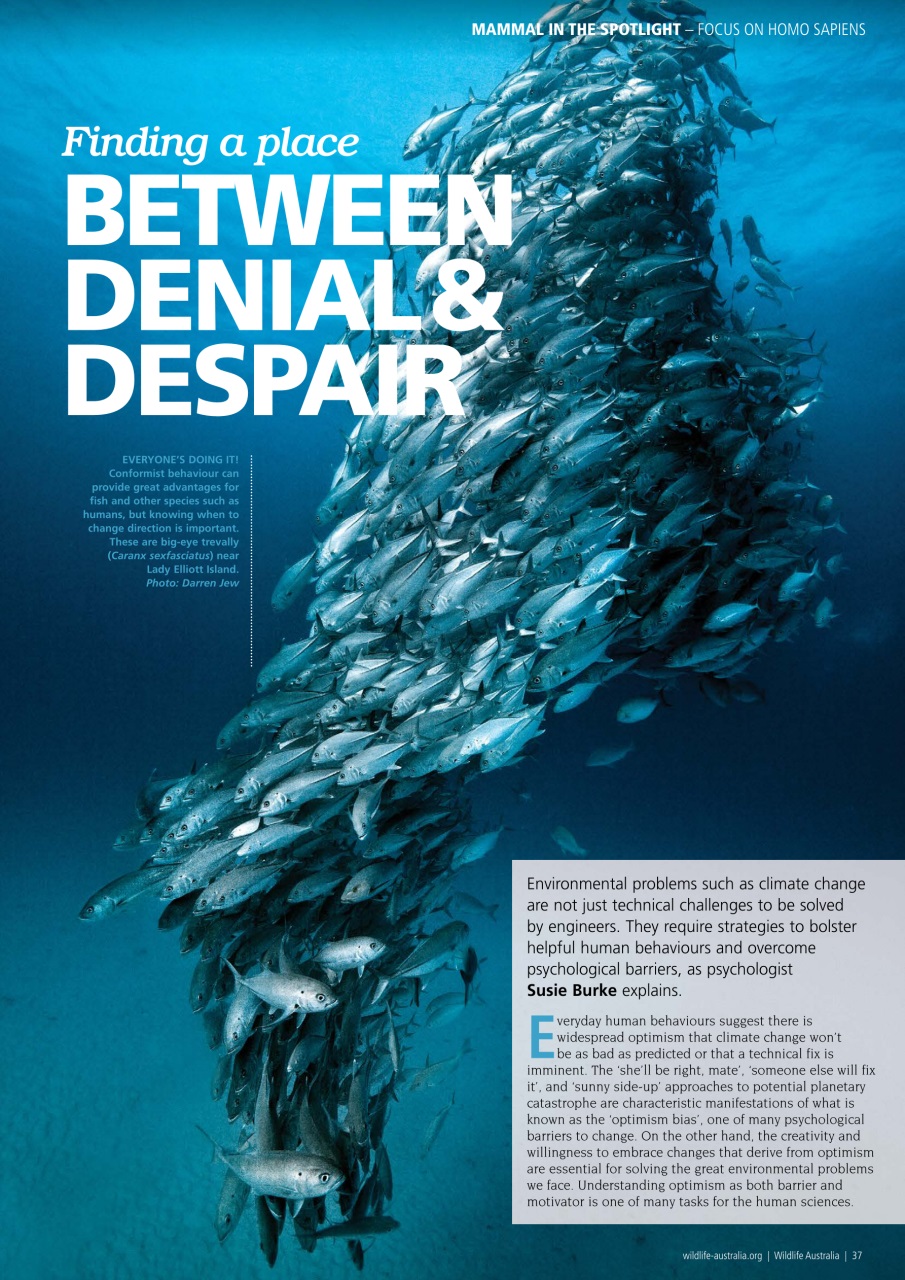 Wildlife Australia Preview Pages