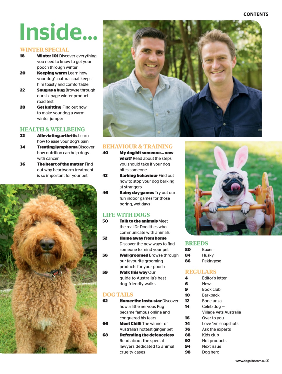 Dogs Life Preview Pages