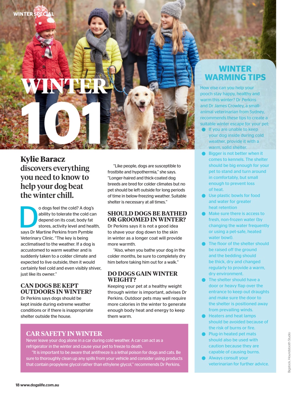 Dogs Life Preview Pages