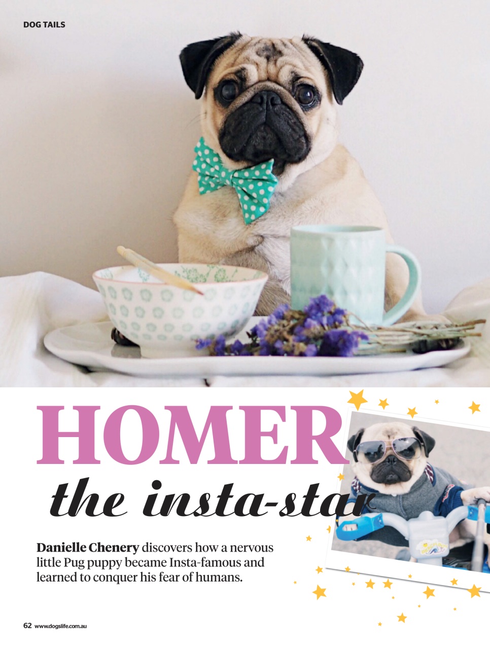 Dogs Life Preview Pages