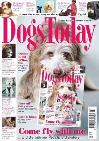 Dogs Today Magazine issue July 2015