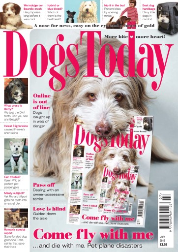 Dogs Today Magazine issue 