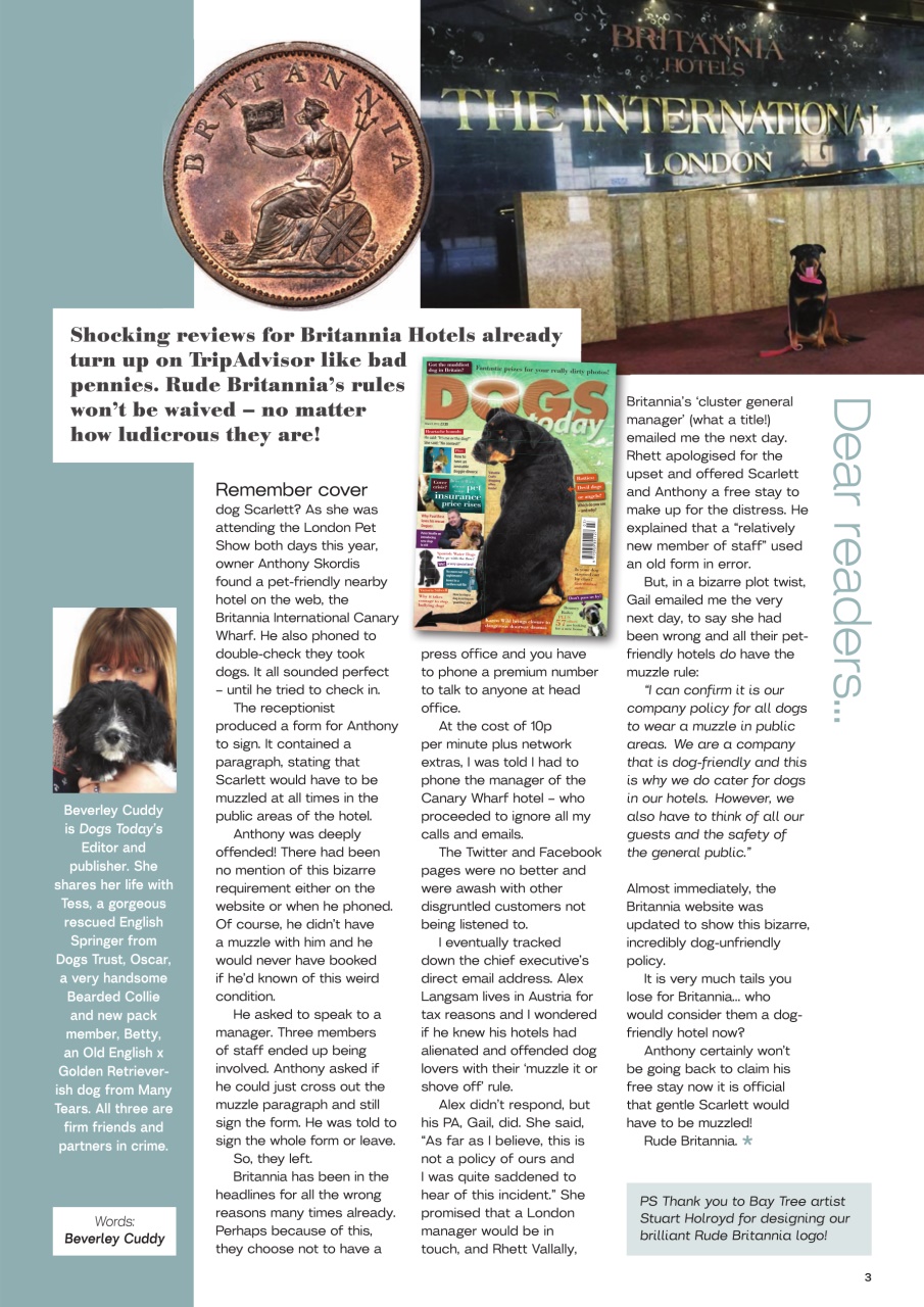 Dogs Today Magazine Preview Pages