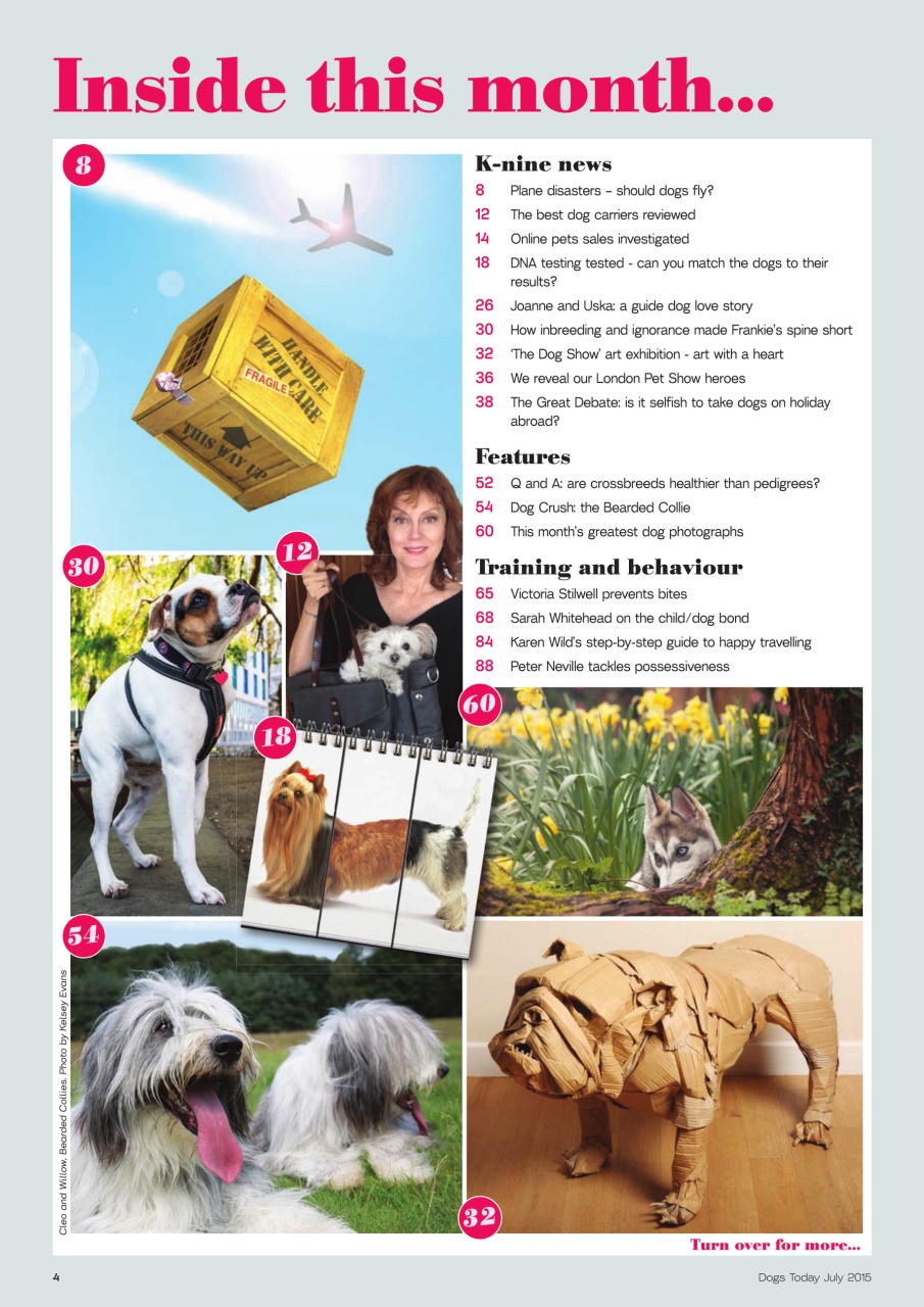 Dogs Today Magazine Preview Pages