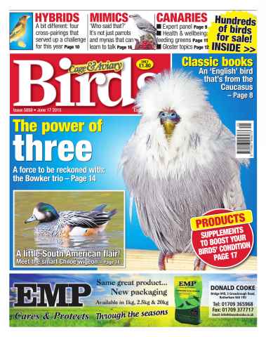 Cage & Aviary Birds issue No. 5859 The Power Of Three