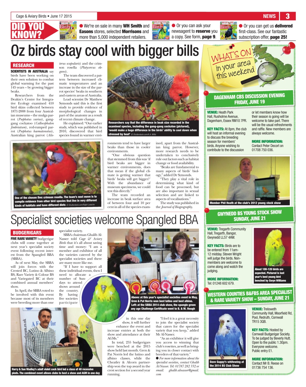 Cage & Aviary Birds Preview Pages