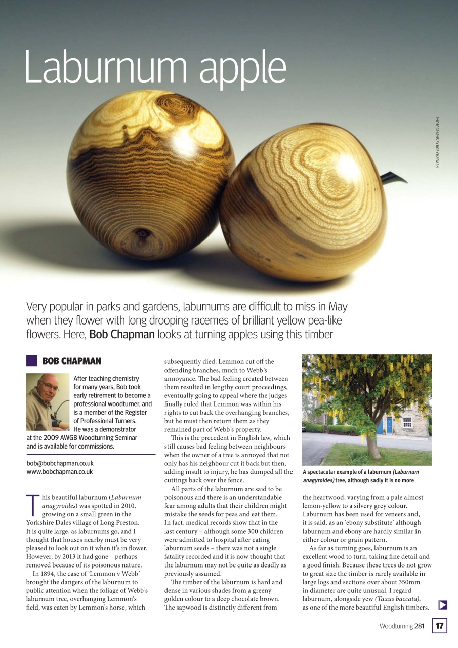 Woodturning Preview Pages