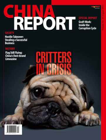 China Report issue Issue 03
