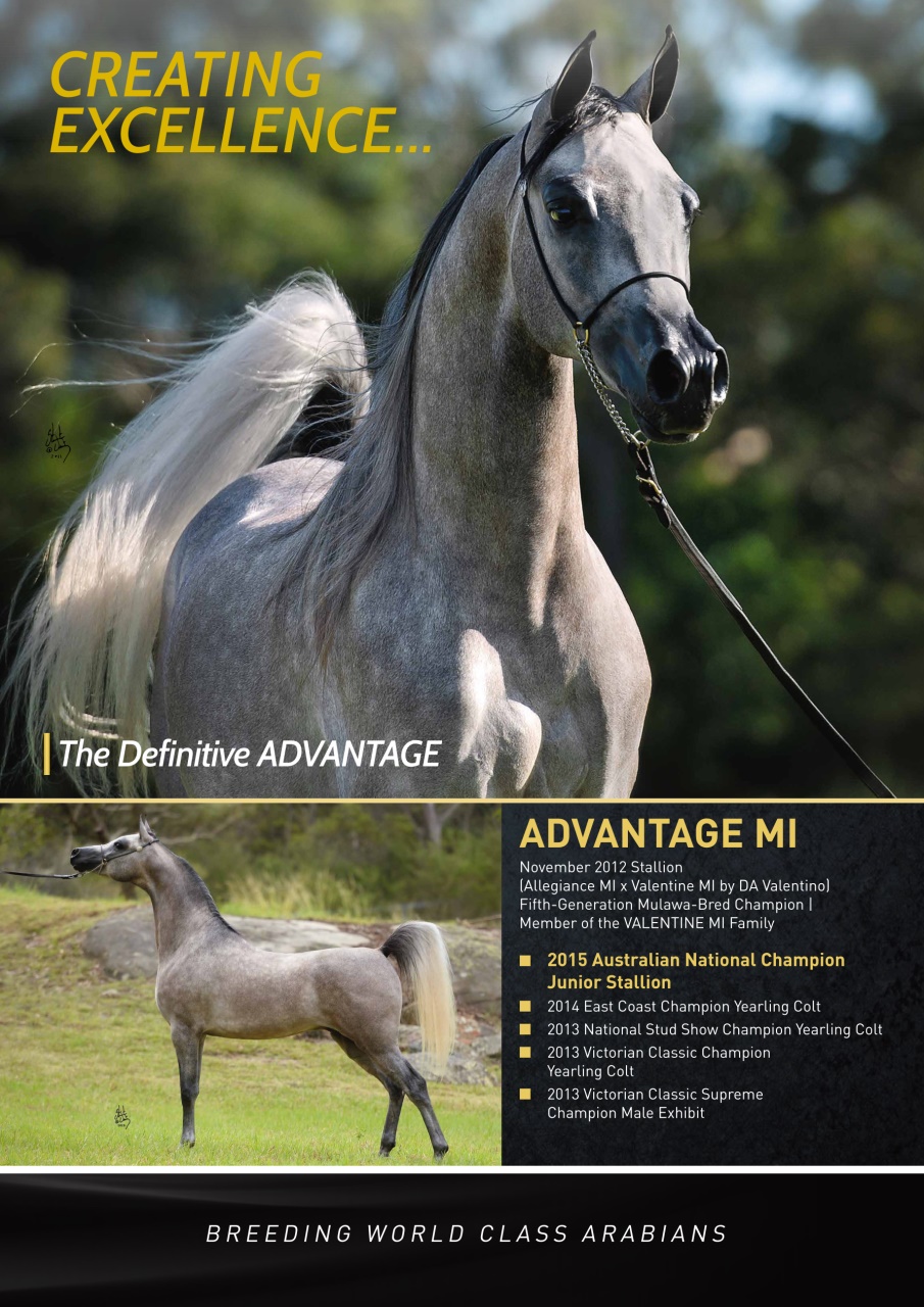 Australian Arabian Horse News Preview Pages