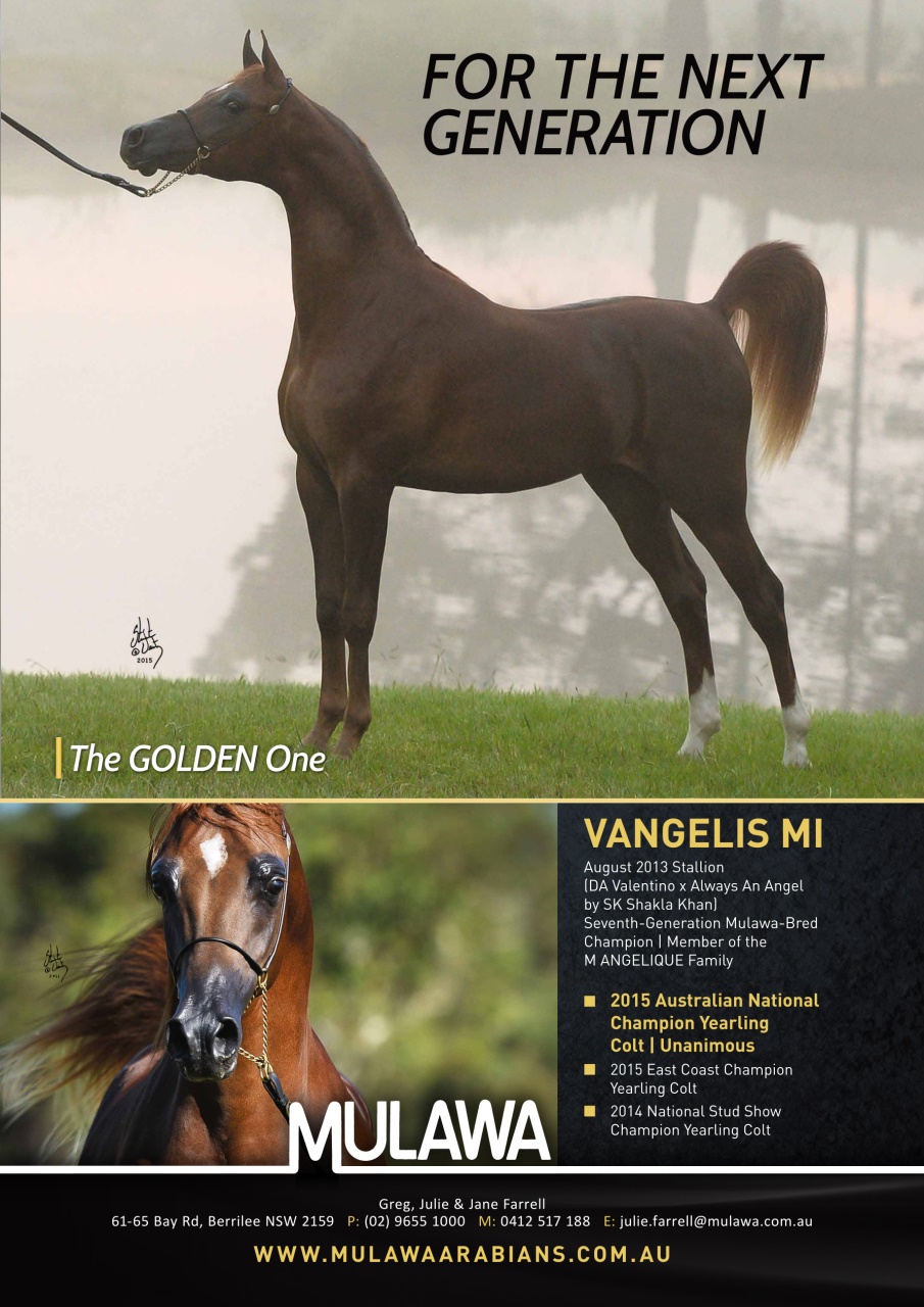 Australian Arabian Horse News Preview Pages