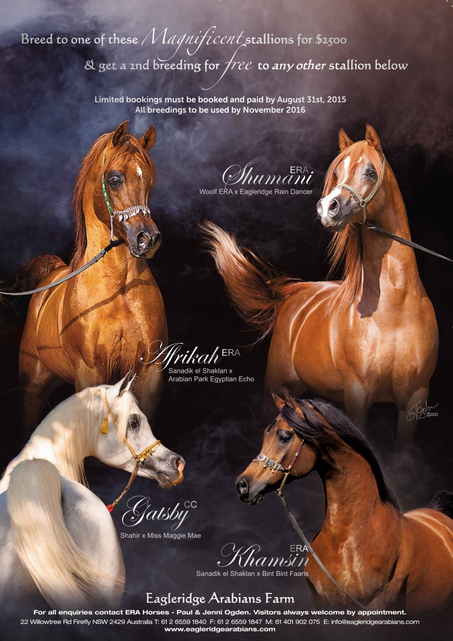 Australian Arabian Horse News Preview Pages