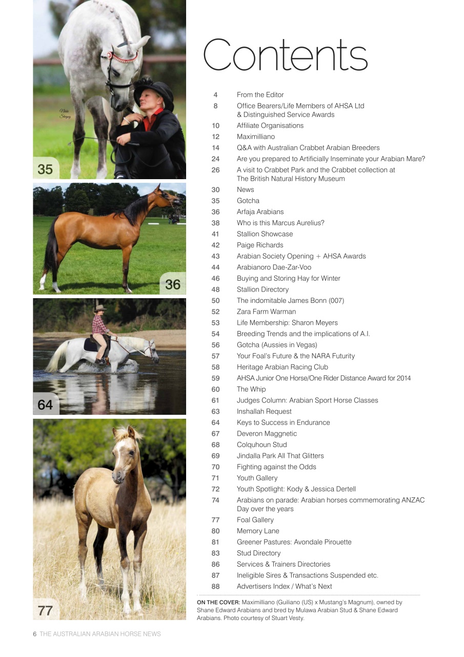 Australian Arabian Horse News Preview Pages