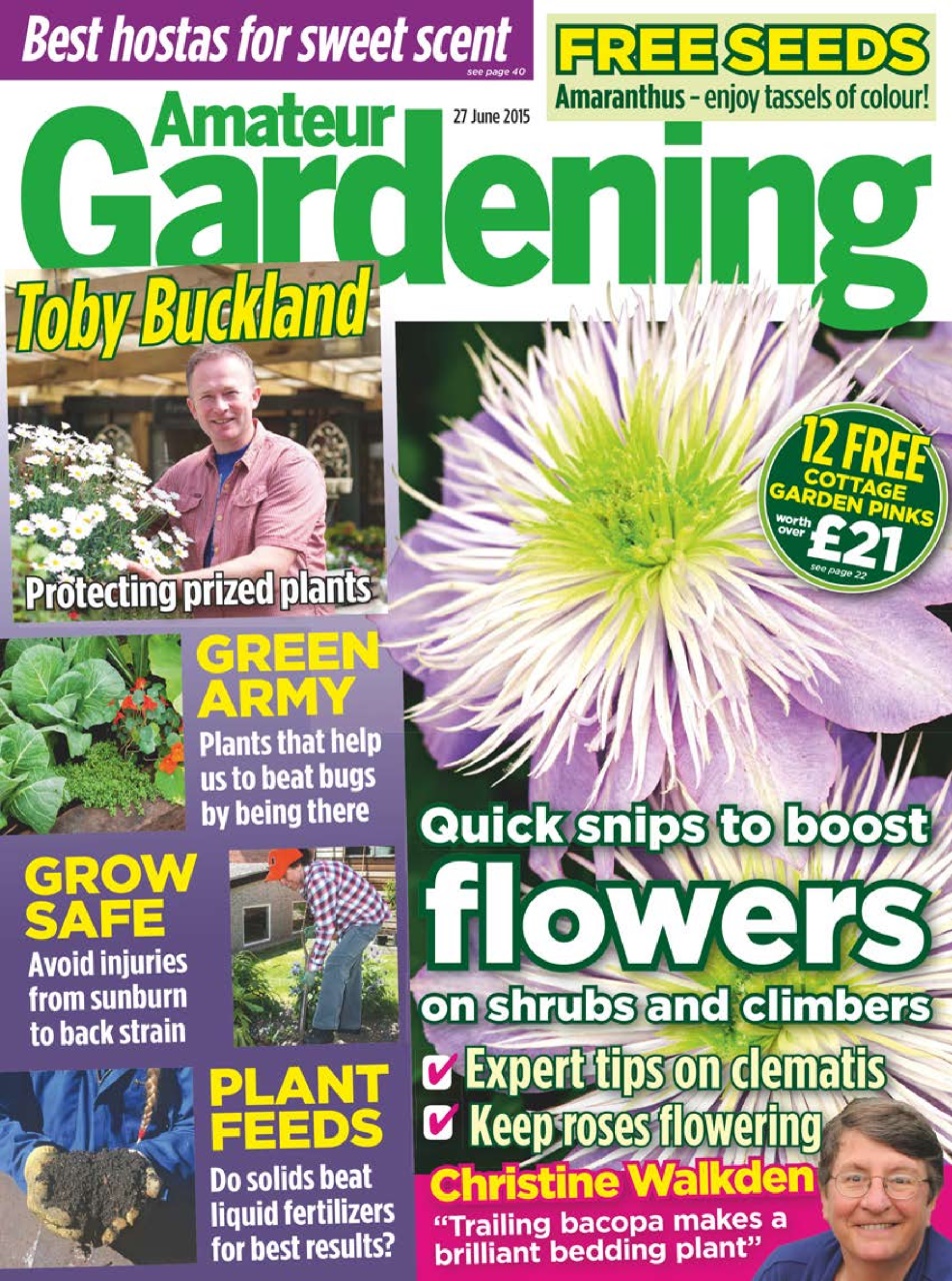 Amateur Gardening Preview Pages