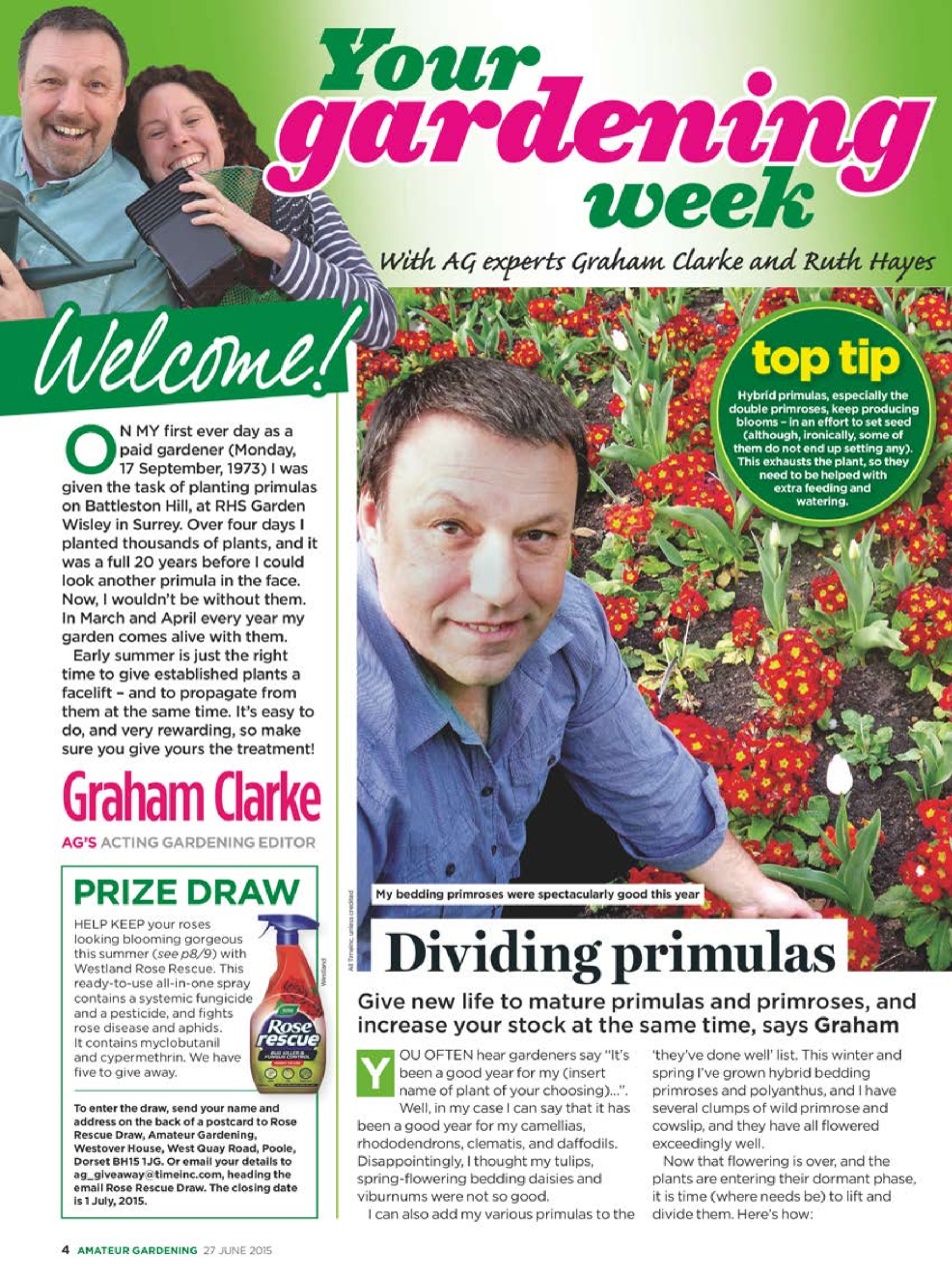Amateur Gardening Preview Pages