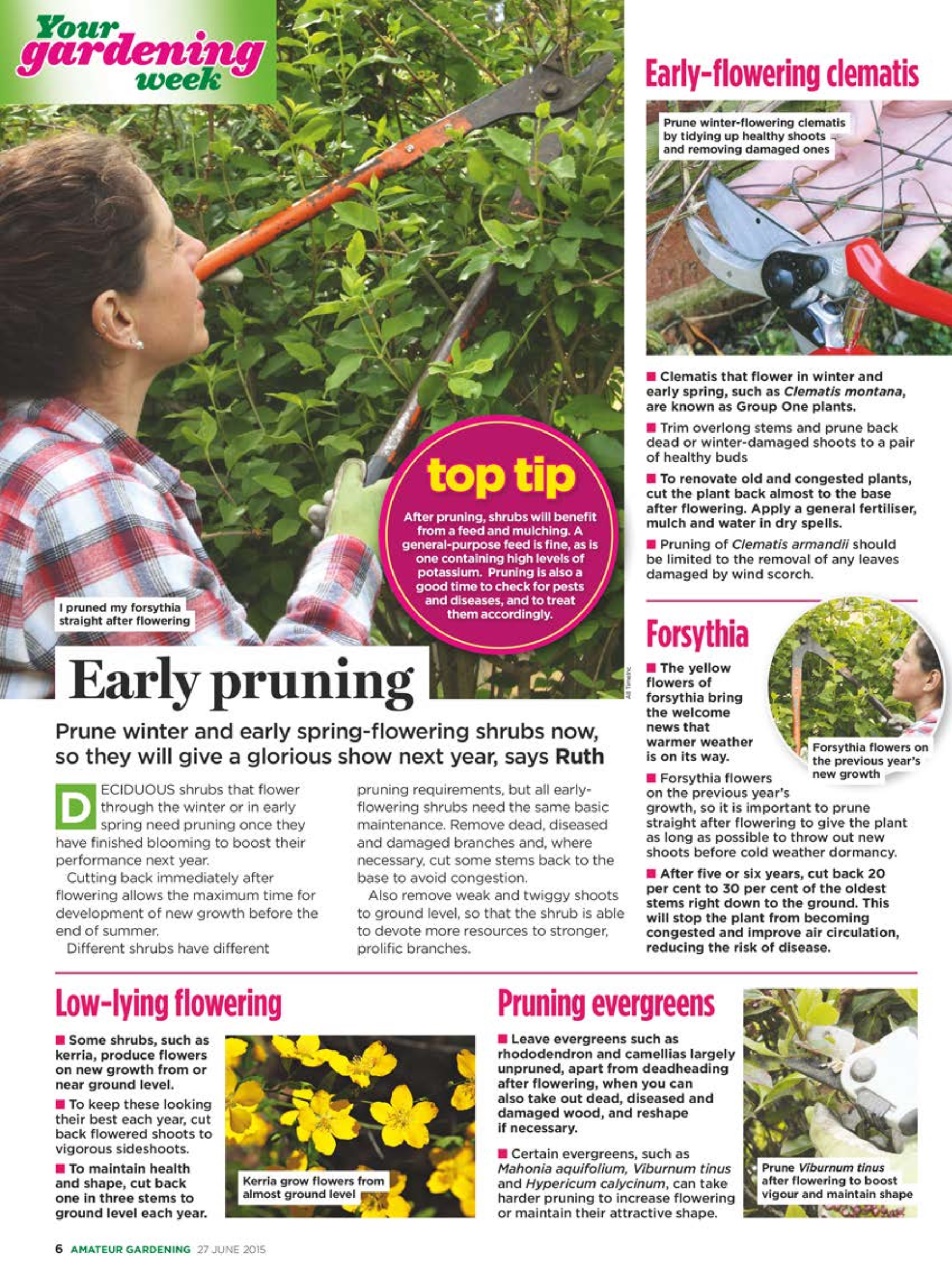 Amateur Gardening Preview Pages