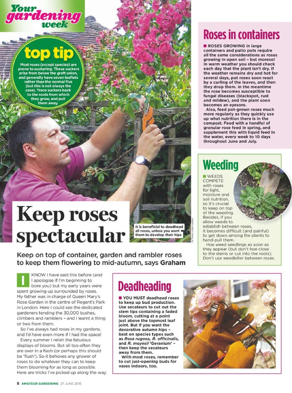 Amateur Gardening Preview Pages