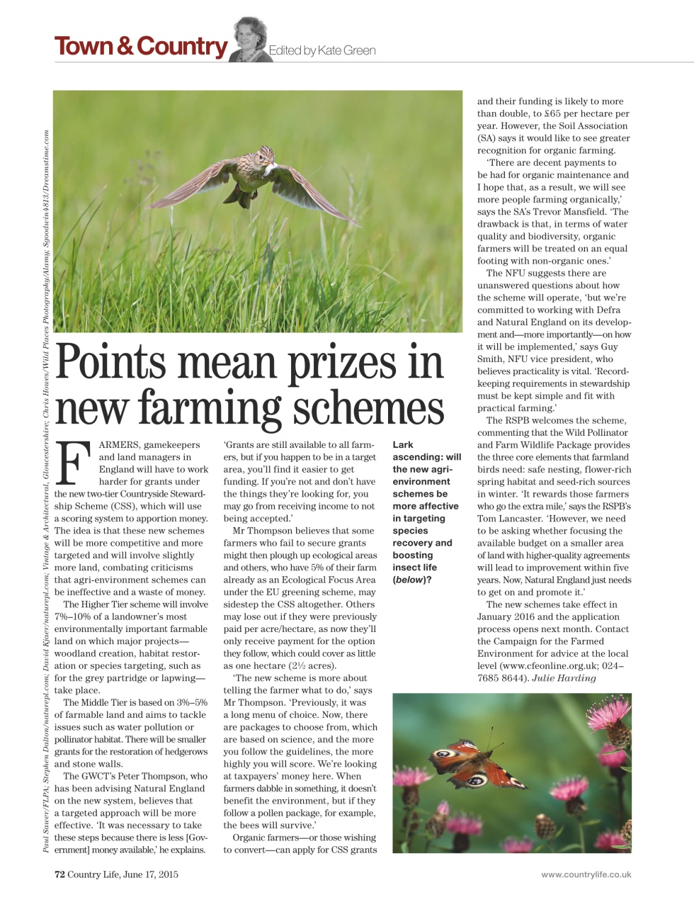 Country Life Preview Pages