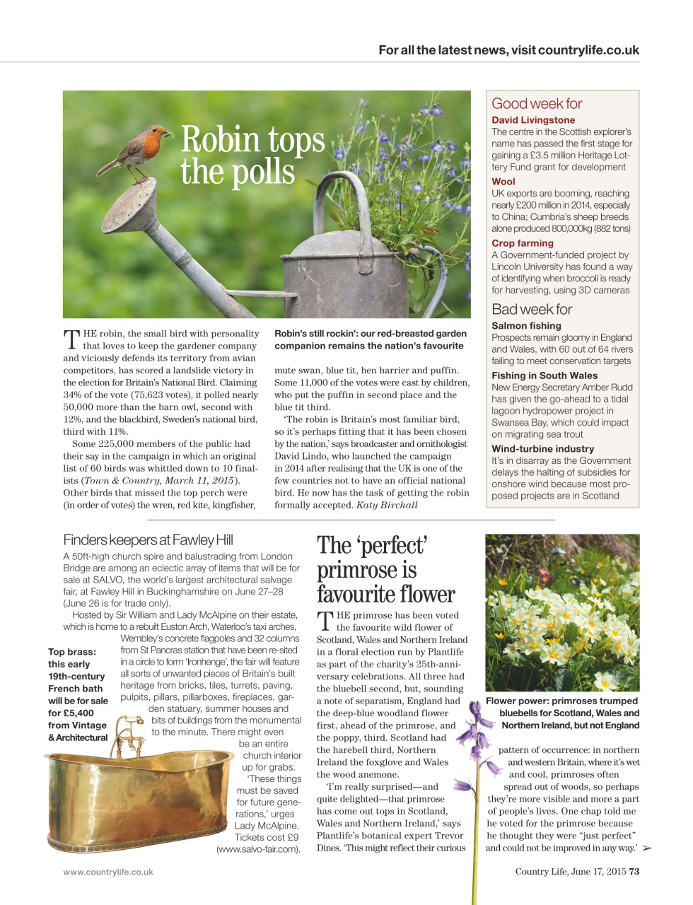 Country Life Preview Pages