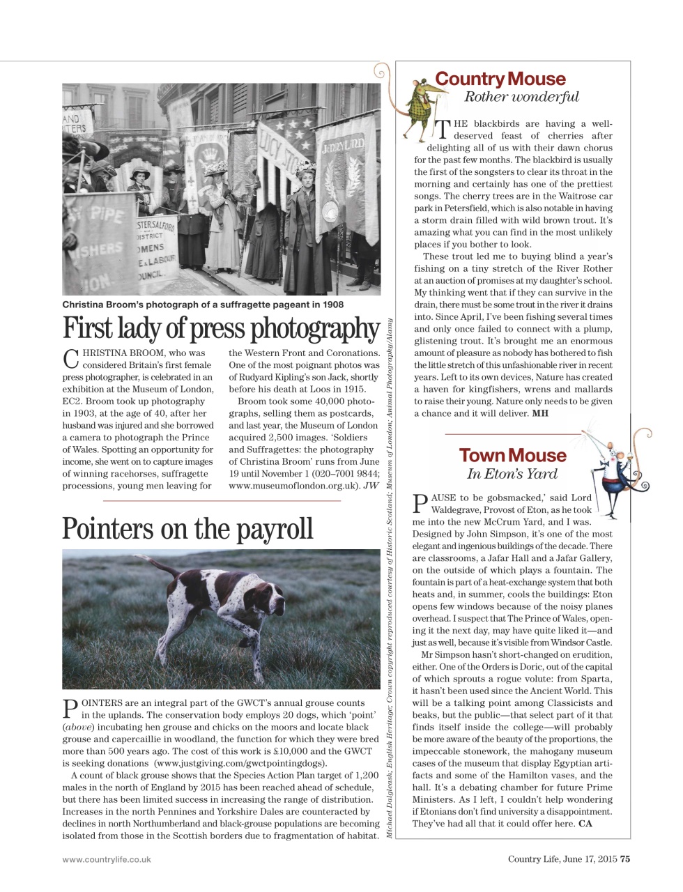 Country Life Preview Pages
