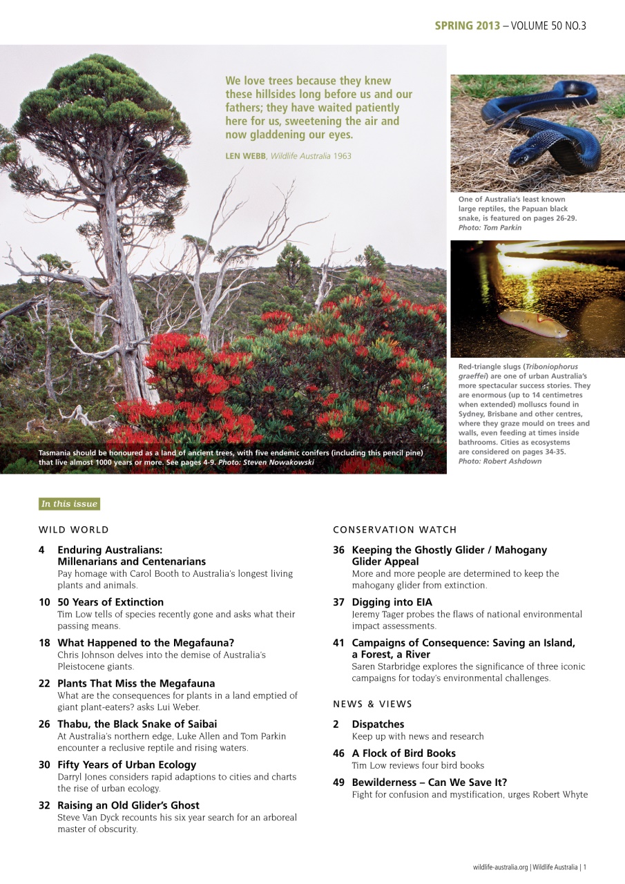 Wildlife Australia Preview Pages