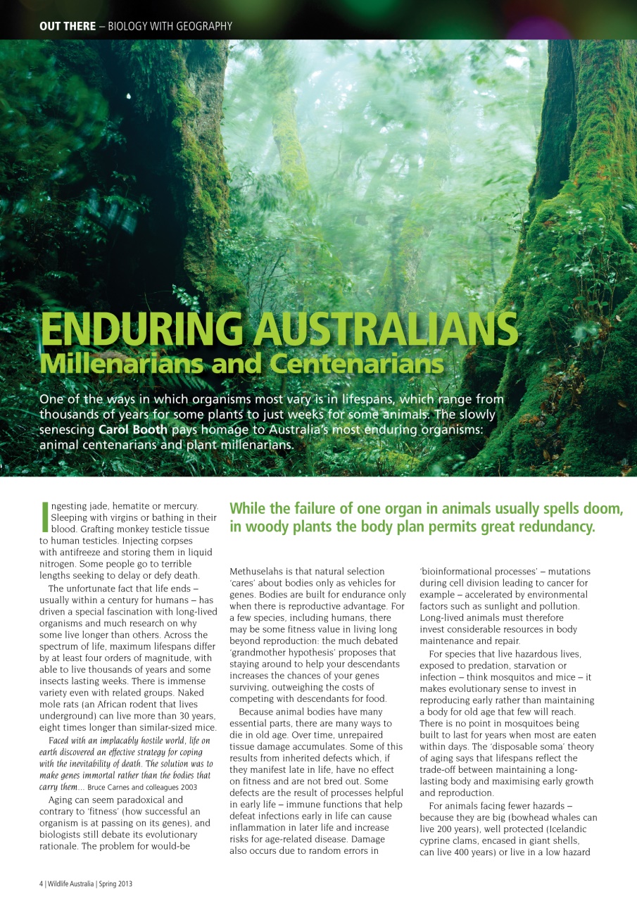 Wildlife Australia Preview Pages