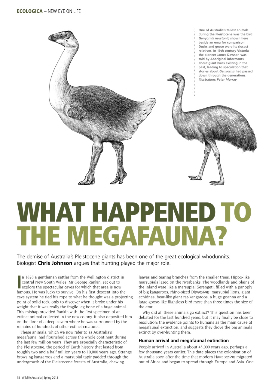 Wildlife Australia Preview Pages