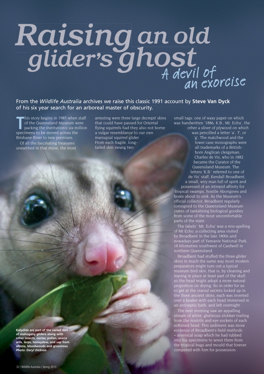 Wildlife Australia Preview Pages