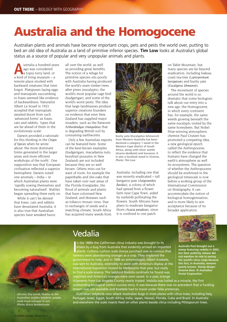 Wildlife Australia Preview Pages