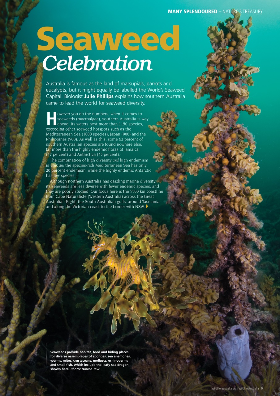 Wildlife Australia Preview Pages