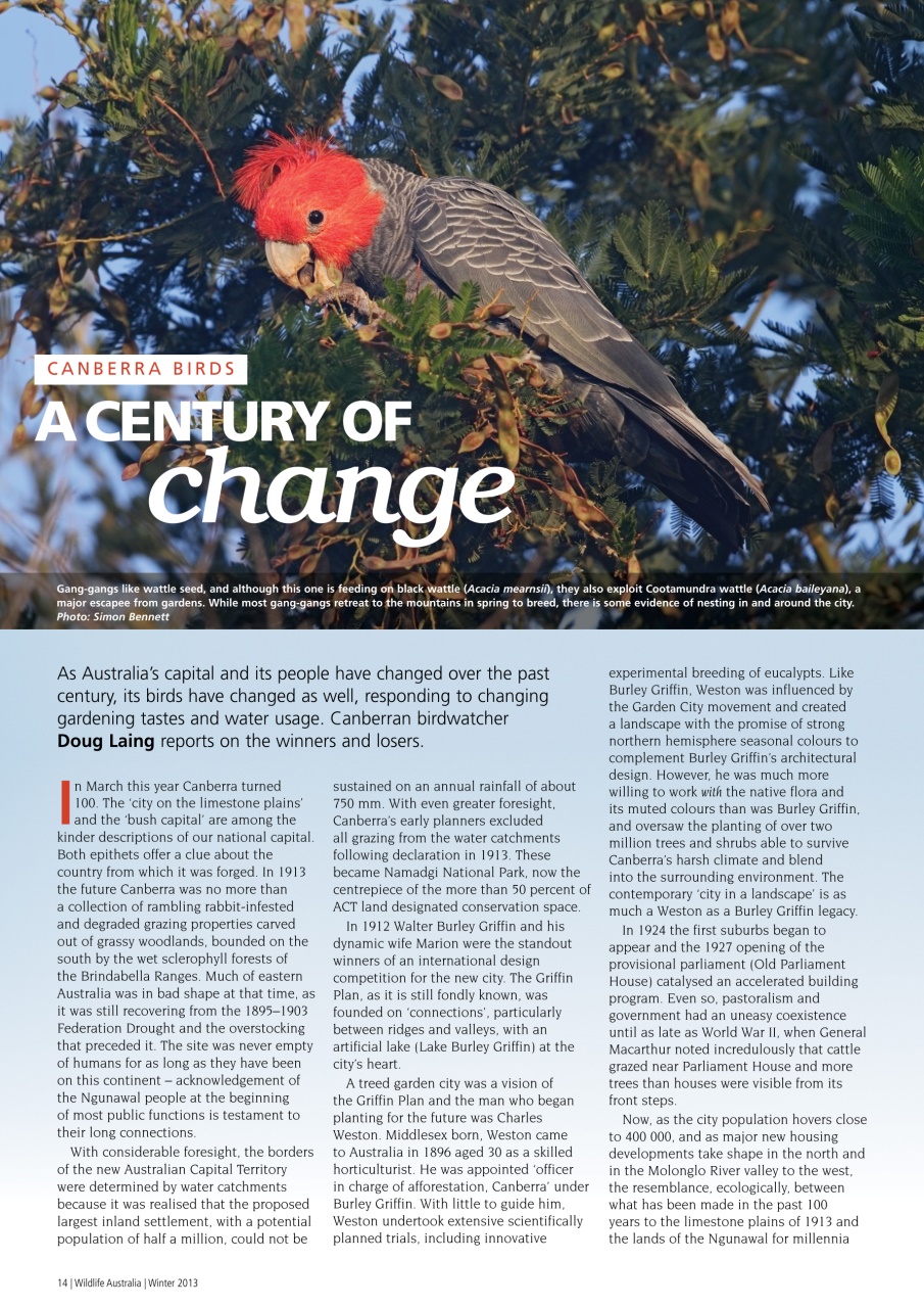 Wildlife Australia Preview Pages