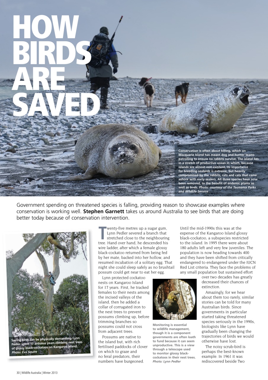 Wildlife Australia Preview Pages