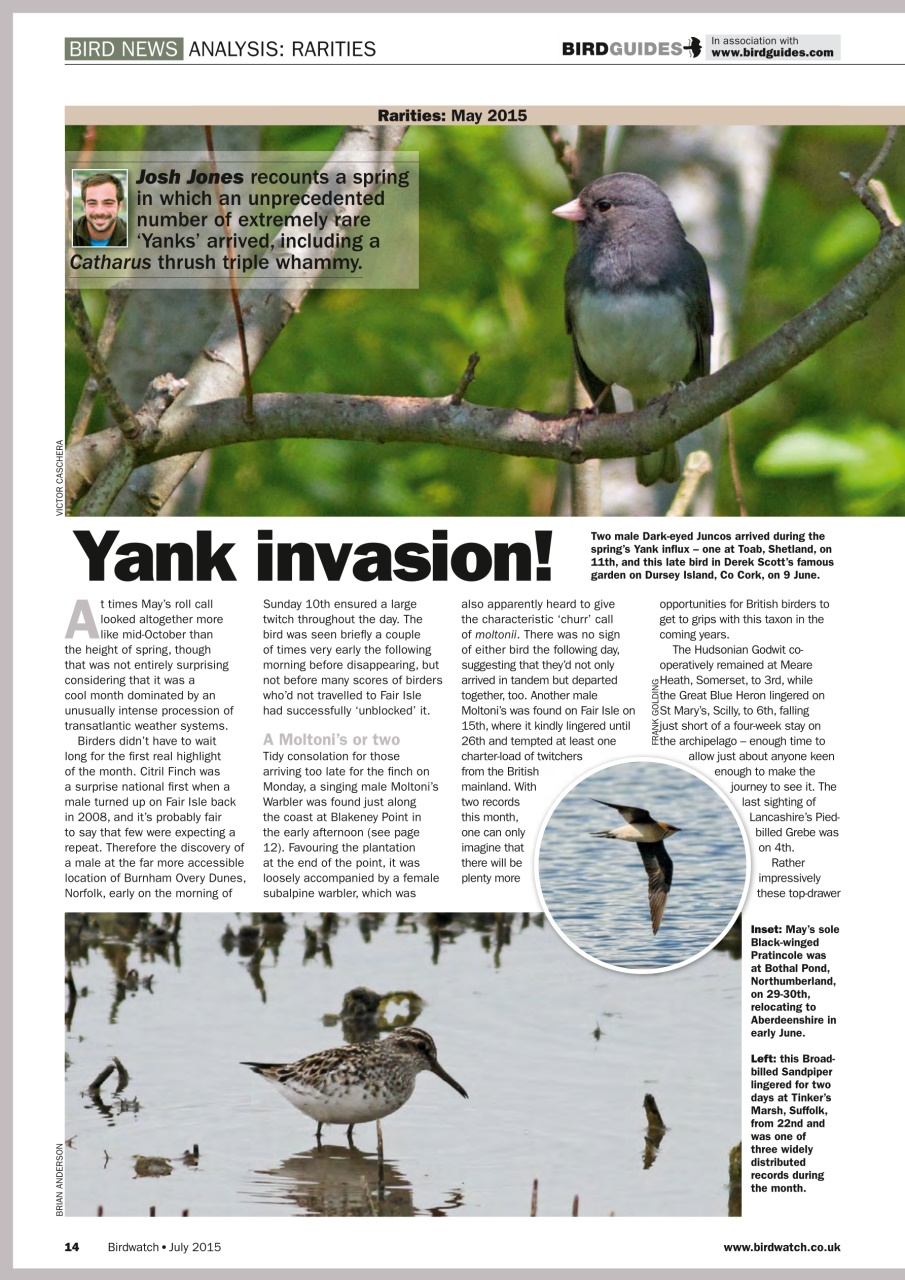 Birdwatch Magazine Preview Pages