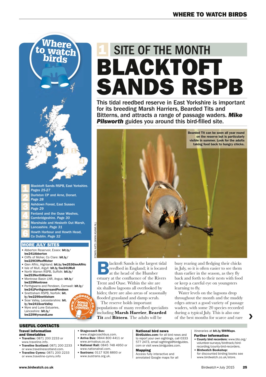 Birdwatch Magazine Preview Pages