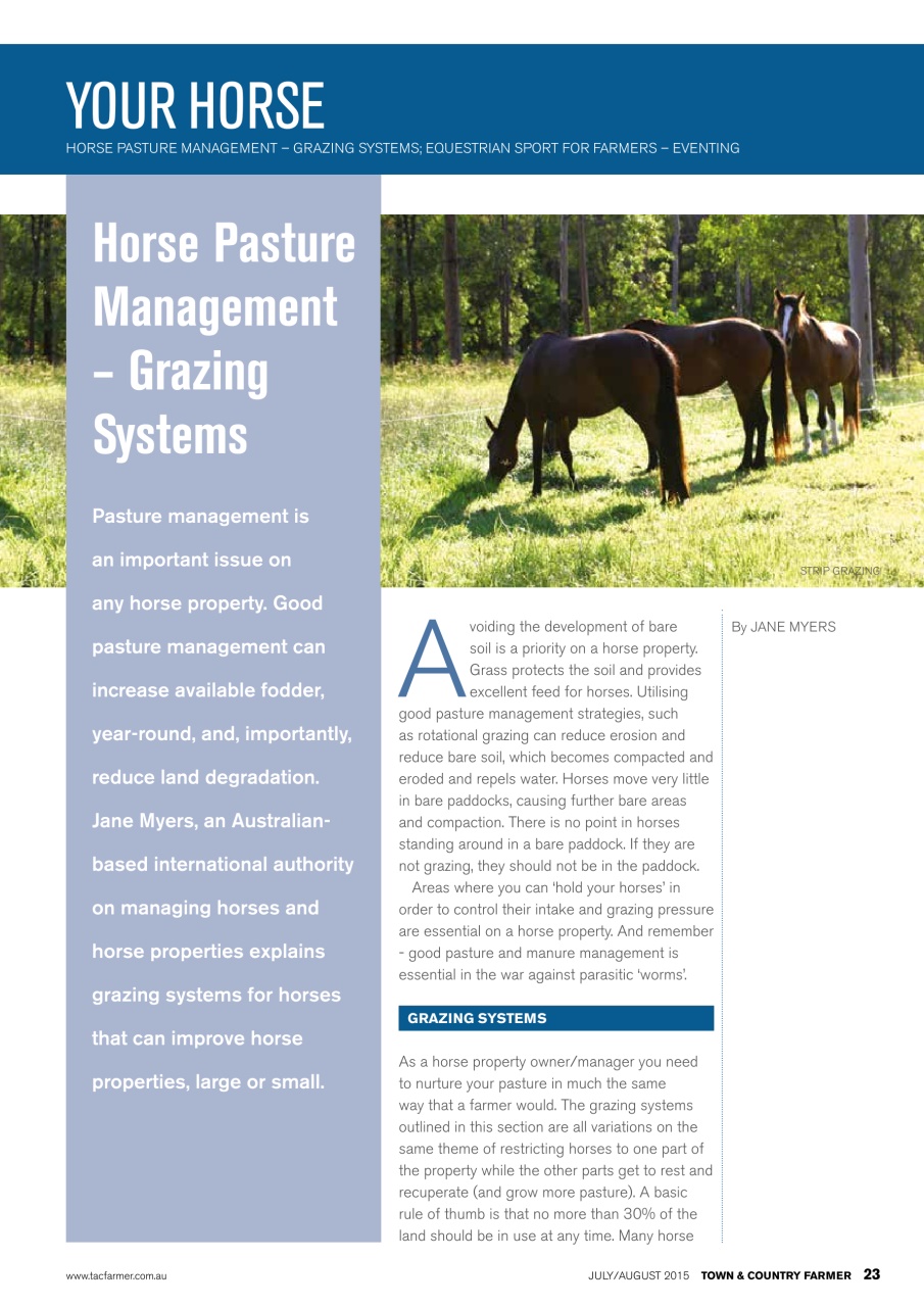 Town And Country Farmer Preview Pages