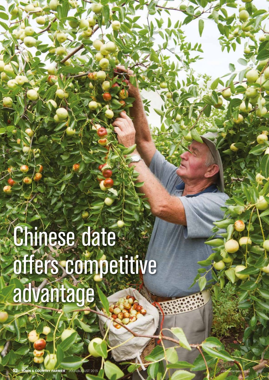 Town And Country Farmer Preview Pages