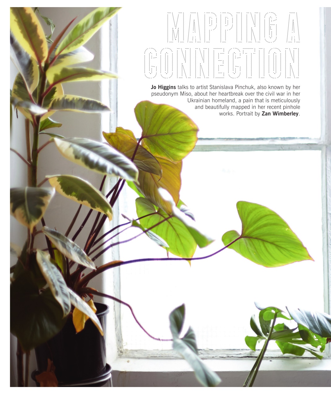 Art Collector Preview Pages